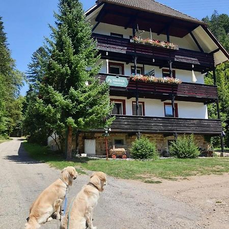 Waldblick Ferienwohnungen Bonndorf im Schwarzwald Exterior photo