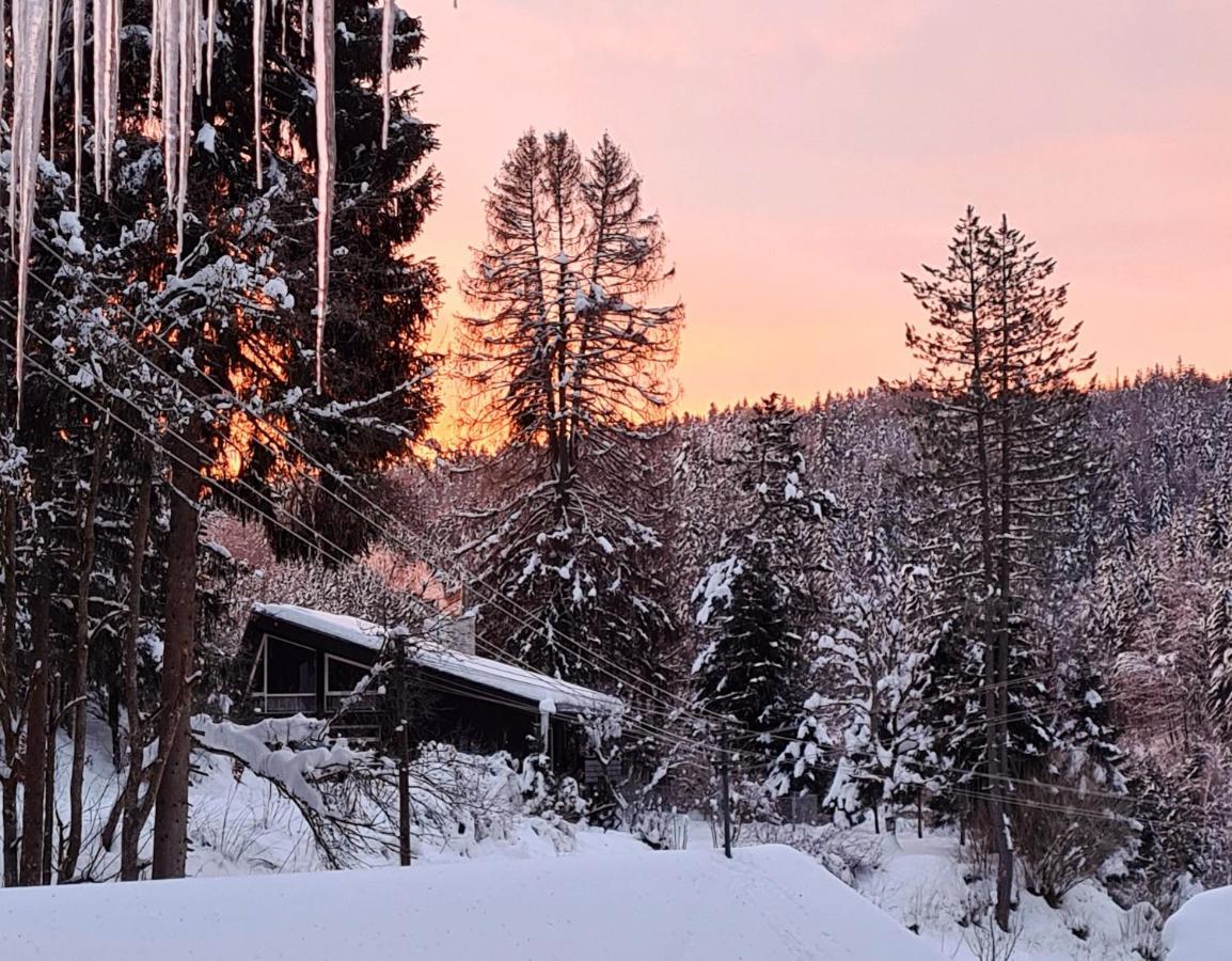 Waldblick Ferienwohnungen Bonndorf im Schwarzwald Exterior photo