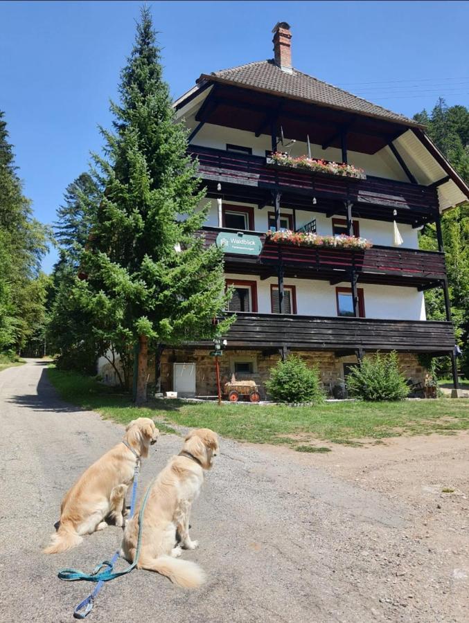 Waldblick Ferienwohnungen Bonndorf im Schwarzwald Exterior photo